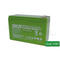 BATTERIA AL PIOMBO 12V 9.0AH SKB SKEV12-9.0