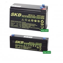 KIT BATTERIE PER ALLARMI,COMPOSTO DA UNA 12 VOLT 7 A + UNA DA 12 VOLT 2,3 A MARCA SKB