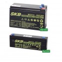 KIT BATTERIE PER ALLARMI,COMPOSTO DA UNA 12 VOLT 7 A + UNA DA 12 VOLT 2,3 A MARCA SKB