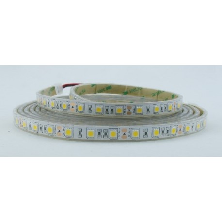 STRISCIA 5M IP68 5050 60LED/M 12V 14,4W/M 1350LM/M 6500K