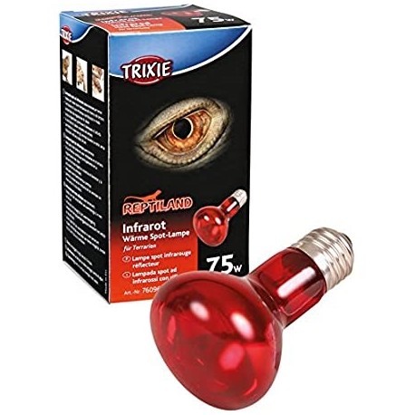 LAMPADA DI TERRA RETTILE ILLUMINAZIONE INFRAROSSI ATTACCO E27 60 WATT