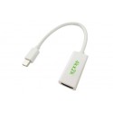ADATTATORE SPINA MINI DISPLAYPORT / PRESA HDMI 4K