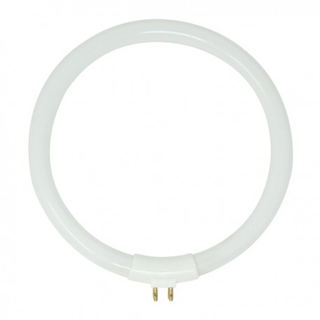 NEON FLUOR.12WATT-T4 DIAMETRO 14 CENTIMETRI.X 62.01-03 PER RICAMBI LAMPADE A DIOTTRIE