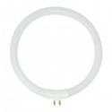 NEON FLUOR.12WATT-T4 DIAMETRO 14 CENTIMETRI.X 62.01-03 PER RICAMBI LAMPADE A DIOTTRIE