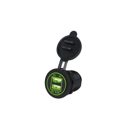 DOPPIA PRESA USB DA PANNELLO 2.1A 1A LUMINOSA