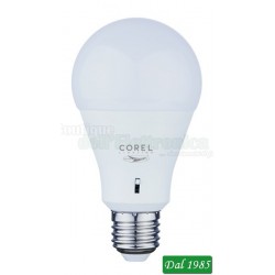 LAMPADINA A LED 15WATT ATTACCO E 27 1370 LUMEN 230 VOLT CAMBIO DELLA LUCE DA CALDA-NATURALE FREDDA NOVITA\' ASSOLUTA