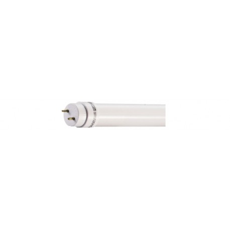 NEON TUBO LINEARE T8 120 cm 36WATT - LUCE FREDDA 6000°K
