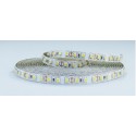 STRISCIA 5METRI IP20 3528 120LED/METRO 12VOLT 9,6W/M 4000K