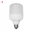 LAMPADA AD ALTA POTENZA 20 WATT 6000°K 1700LM E27