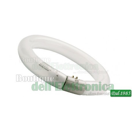 NEON FLUORESCENTE CIRCOLARE T9 40W