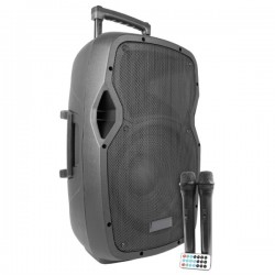 BOX AUDIO ATTIVO 12 600W A BATTERIA CON BLUETOOTH/USB/SD, MP3, ECHO, EQUALIZZATORE E TROLLEY