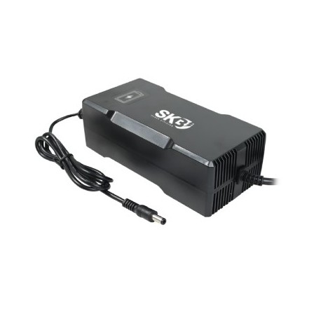 CARICABATTERIE SWITCHING PER BATTERIE LI-ION 48 VOLT 4 AMPER