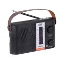 RADIO PORTATILE MULTIBANDA A ENERGIA SOLARE TREVI RA 7F25 BT