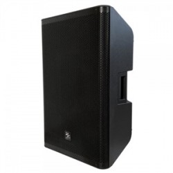 CASSA AMPLIFICATA 15 CON CABINET MONOBLOCCO