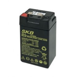 BATTERIA AL PIOMBO SKB SKB 4 VOLT 2 AMPER