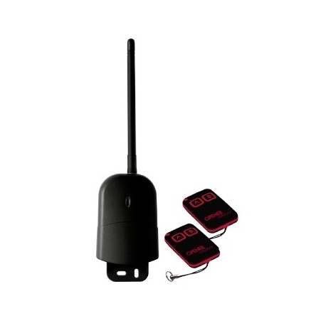 KIT RICEVITORE+2 RADIOCOMANDI UNIVERSALI 2 CANALI 433.92 MHZ PER ESTERNO JL2183