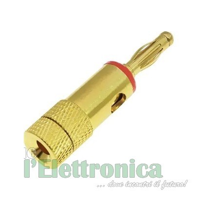 SPINA BANANA DIAMETRO 4MM DORATA ROSSA