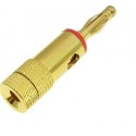 SPINA BANANA DIAMETRO 4MM DORATA ROSSA