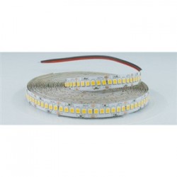 STRISCIA LED 24V 2835 240LED/M 24W/M 2500LM/M 4000°K IP20