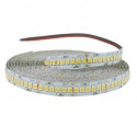 STRISCIA LED 24V 2835 240LED/M 24W/M 2500LM/M 4000°K IP20