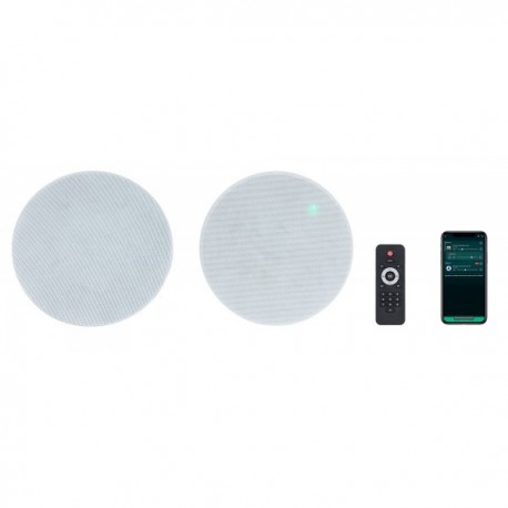 COPPIA DI CASSE ATTIVE A 2 VIE 20 WATT RMS