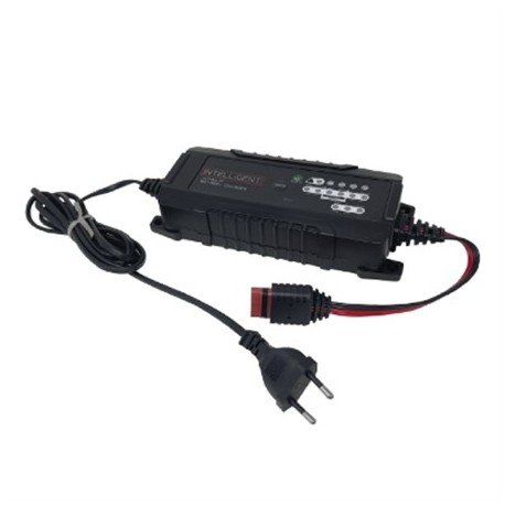 CARICABATTERIE SWITCHING AUTOMATICO PER BATTERIE AL PIOMBO - LIFEPO4 - 6/12V - 6A