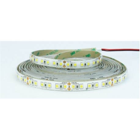 STRISCIA LED 24V 2835 128LED/M 12W/M 1700LM/M 6500°K IP65