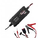 CARICABATTERIA SWITCHING AUTO 6 AMPER 6/12 VOLT 1,2-150 AH LIFE PO04