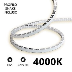 STRISCIA LED SNAKE FLESSIBILE 5 METRI IP65 230VOLT 11W/m
