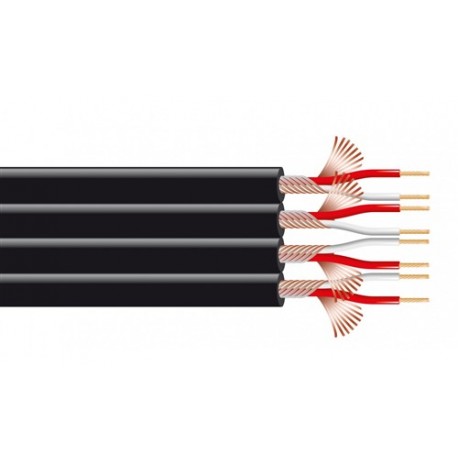 PIATTINA SCHERMATA 4 x0,12 mm OFC LOW NOISE