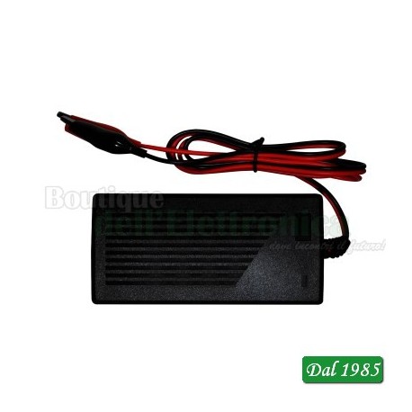 CARICABATTERIA PER PACCHI LI-ON/LI-POLY 24 V 2A