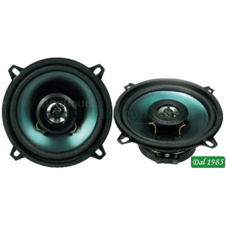 ALTOPARLANTE COPPIA 2 VIE 60 WATT