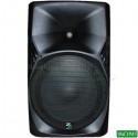 CASSA ACUSTICA 15 AMPLIFICATA TRASPORTABILE CON 2 RADIOMICROFONI