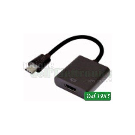 ADATTATORE PRESA HDMI- SPINA USB 3.1 TIPO “C”