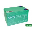 BATTERIA AL PIOMBO RICARIC. PER USO CICLICO SKB