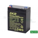 BATTERIA AL PIOMBO SKB 12V - 2,9 AH