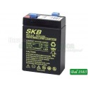 BATTERIA AL PIOMBO SKB 6V - 3,2 AH VERTICALE