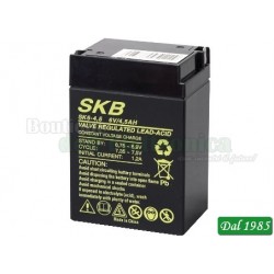 BATTERIA AL PIOMBO SKB 6V - 4,5 AH ATTACCHI VERTICALI