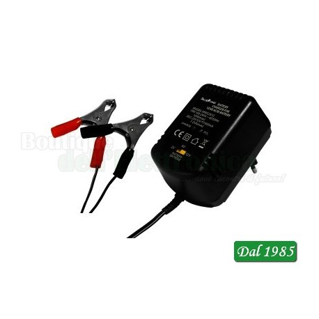 CARICATORE PER BATTERIE AL PIOMBO 2V- 6V- 12V 600mAh