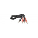 CAVO 2 SPINE RCA/2 SPINE RCA 3MT
