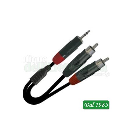 CAVO PROF 3M SERIE Y JACK-2RCAYZZR300